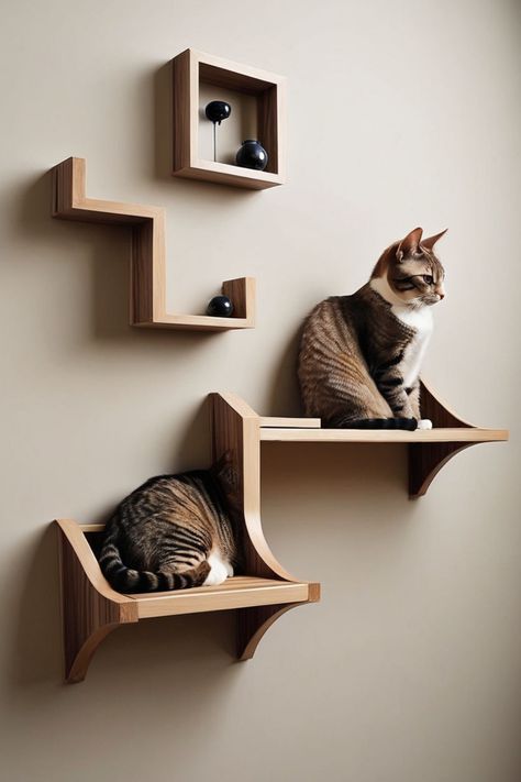 Two cats sitting on wooden wall-mounted shelves, with one cat partially hiding below. Wall Furniture Ideas, Apartment Cat Ideas, Apartment Cat, Space Saving Apartment, Hidden Litter Boxes, Cat Wall Furniture, Wall Furniture, Cat Ideas, Cat Shelves