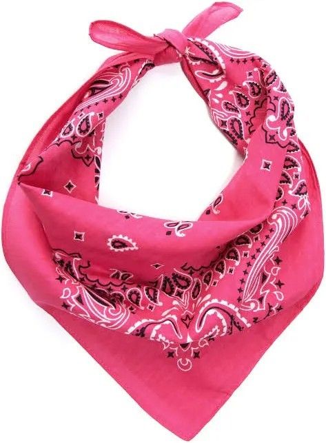 Hot Pink Bandana, Kids Western Wear, Pink Motorcycle, Swag Hats, Pink Bandana, American Pitbull, Free Clothes, Western Wear, Black Print