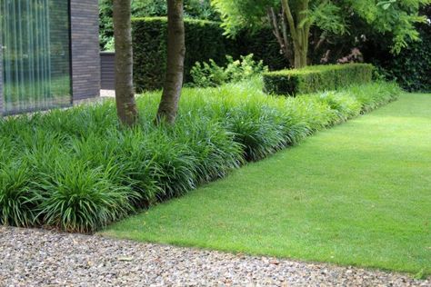 design-tuin-moderne-tuin-nijmegen-hovenier-tuinontwerp-tuinaanleg- North Garden, Front Garden Landscape, Cottage Garden Design, Garden Whimsy, Garden Design Plans, Garden In The Woods, Deck Garden, Modern Landscaping, Outdoor Landscaping