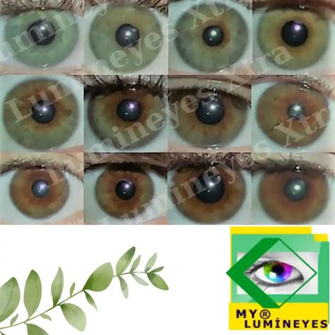 Eye Color Change Surgery, Family Farm Seaside, Change Eye Color, Change Your Eye Color, Laser Eye Surgery, Laser Eye, Facial Yoga, Eye Surgery, Quick Workout Routine