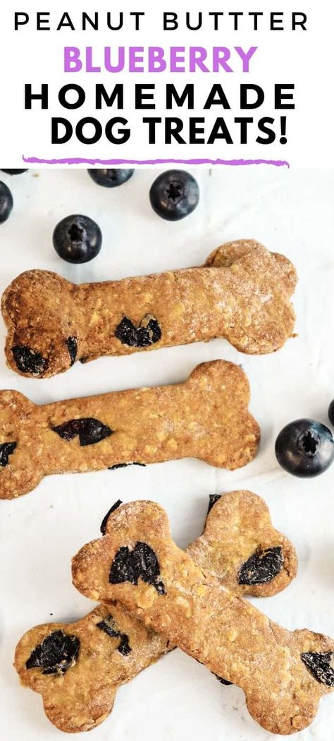 Blueberry Dog Treat Recipe, Blueberry Dog Treats, Banana Dog Treat Recipe, Dog Cookie Recipes, Peanut Butter Blueberry, Pet Treats Recipes, Peanut Butter For Dogs, Dog Treat Recipe, Easy Dog Treat Recipes