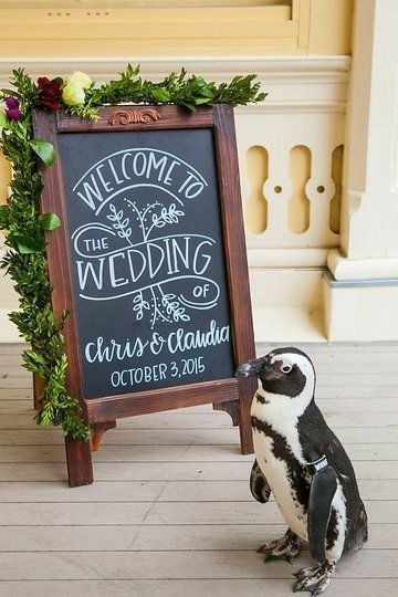 Wedding Chalk, Wedding Welcome Board, Zoo Wedding, Wedding Chalkboard Signs, Chalk Sign, Mansion House, Chalkboard Lettering, Chalkboard Designs, The Mansion