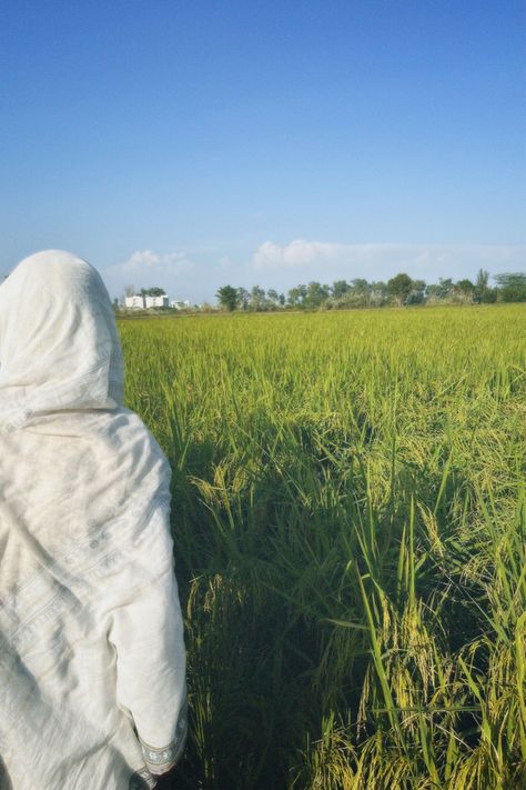 #fields#grandparents#village#olddays#pakistan#desi# vintage Pakistan Village Aesthetic, Pakistan Village, Desi Vintage, Village Aesthetic, Pakistani Aesthetic, Village Life, Desi, Pakistan, Quick Saves