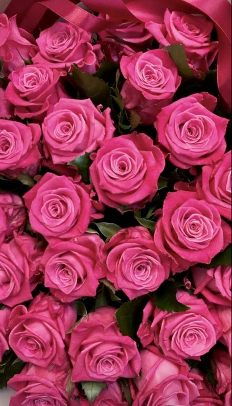 Best Flower Wallpaper, Arte Aesthetic, Red Roses Wallpaper, Hot Pink Roses, Lovely Flowers Wallpaper, Android Wallpaper Flowers, Sweet T, Cute Flower Wallpapers, Easy Art