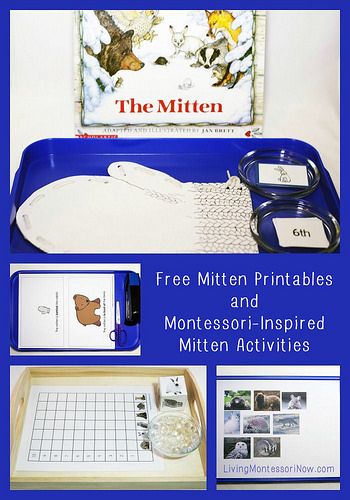 Lots of free mitten printables and ideas for using free printables to create Montessori-inspired mitten activities Winter Lesson Plan, Jan Brett, Winter Classroom, Winter Kindergarten, The Mitten, Winter Books, Montessori Ideas, Preschool Literacy, Creative Curriculum