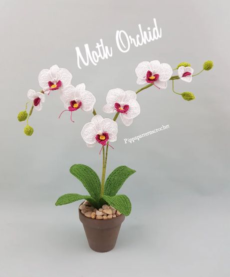 How to crochet flowers that last a lifetime - Live Chill life Crochet Orchid, Flower Pattern Crochet, Orchid Drawing, Orchid Pattern, Calla Lily Bouquet Wedding, Orchid Photography, Crochet Succulent, Crochet Flower Pattern, Orchid Centerpieces