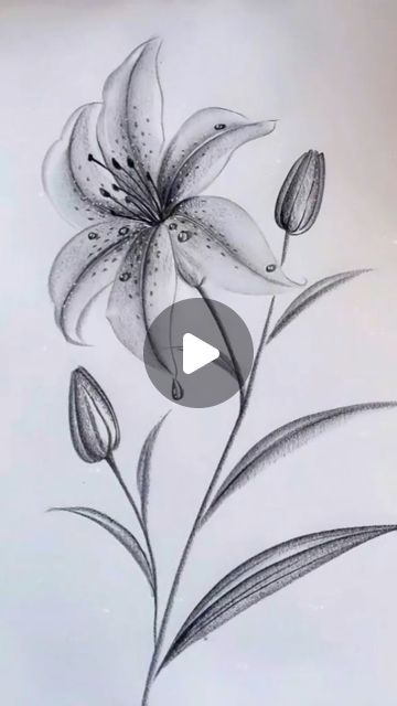 Drawing Realistic Flowers, Drawing Ideas Of Flowers, Easy Drawing Of Flowers, How To Draw Realistic Flowers, Flower Drawings Pencil, Rose Sketch Realistic, Flower Drawing Pencil, Flower Pencil Drawings, Drawing Flowers Easy