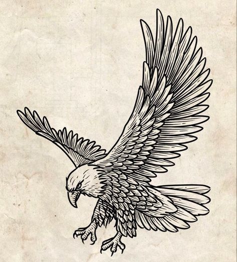 Eagle Drawing Tattoo, Tattoos Dark Art, Eagle Tattoo Men, Eagle Tattoo For Women, Cute Animal Tattoos, Hawk Tattoo, Tattoo Cute, Eagle Drawing, Western Tattoos