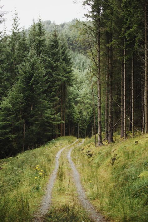 The Mountains Are Calling, Instagram Photography, Close Your Eyes, Amazing Nature, Nature Pictures, Rocky Mountains, Swords, Your Eyes, Nature Photography