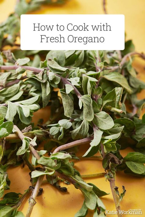 Recipes Using Fresh Oregano, Greek Oregano Recipes, Recipes With Oregano, Recipes With Fresh Oregano, Fresh Oregano Recipes, Oregano Recipes, Greek Oregano, Oregano Chicken, Oregano Plant