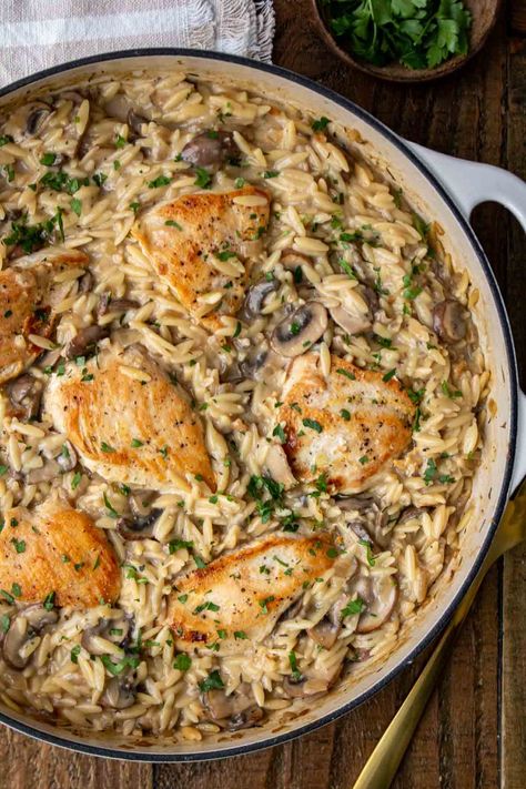 Chicken Mushroom Orzo - Stephanie Kay Nutrition Chicken Mushroom Orzo, Mushroom Orzo, Kay Nutrition, Creamy Chicken Mushroom, Chicken Mushroom Casserole, Bacon Pasta Recipes, Creamy Orzo, Orzo Recipe, Healthy One Pot Meals