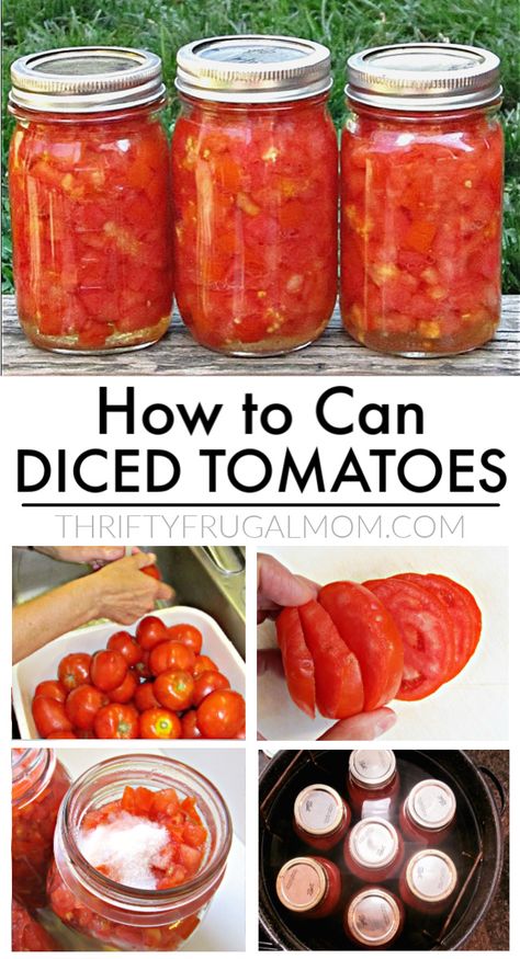 The absolute easiest way to can tomatoes- no peeling, no coring! This easy step by step tutorial will show you how to can diced tomatoes in no time! #thriftyfrugalmom #cantomatoes #canning #dicedtomatoes Canning Tomatoes Recipes, Kitchen Knowledge, Can Diced Tomatoes, Tomato Recipe, Canning 101, Canning Fruit, Garden Tomatoes, Canning Vegetables, Home Canning Recipes