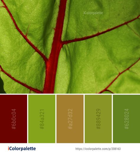 Color Palette ideas from 2965 Leaf Images | iColorpalette Leaf Colour Palette, Colour Themes, Color Palette Ideas, Palette Ideas, Leaf Images, Leaf Coloring, Leaf Green, Find Color, Plant Stem