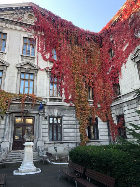 Fancy High School Building, Old High School Building, Magical School Building, Library Building Exterior, Highschool Exterior, Library Exterior, Build Bloxburg, Fancy School, Old School Building