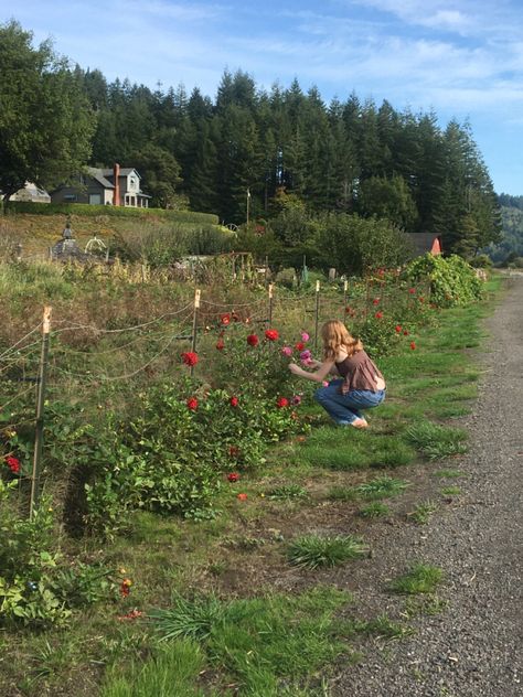 Rural Living Aesthetic, Rural Life Aesthetic, Pnw Summer Aesthetic, Coastal Granddaughter Clothes, Portland Oregon Aesthetic, Slide Tackle, Summer Before Senior Year, Oregon Coast Aesthetic, Farm Girl Aesthetic