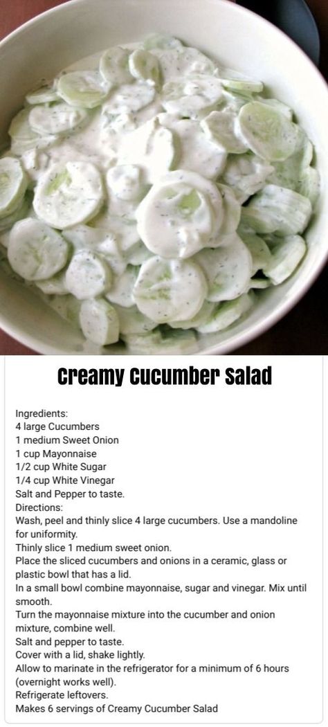 Fresh Cucumber Salad, Cucumber Onion Salad, Cucumber Vegetable, Fresh Cucumber, Creamy Cucumber Salad, Cucumbers And Onions, Creamy Cucumbers, Onion Salad, Bacon Tomato