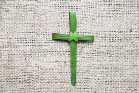 How to Teach the Apostles' Creed for Kids | eHow Salvation Bracelet, Palm Cross, Palm Sunday Crafts, Palm Tree Decorations, Apostles Creed, Leaf Crafts, Palm Sunday, Palm Fronds, Kids Church