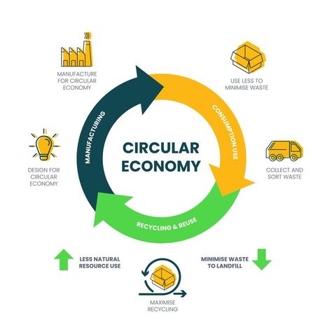 The vector infographic diagram of the circular economy concept has 3 dimensions. For example, manufacturing has to design and manufacture. The consumption used is minimized, collected, and sorted. Circular Flow Of Income, Infographic Diagram, Economy Design, Waste To Energy, Types Of Waste, Alternative Energy Sources, Vector Infographic, Environmental Pollution, Natural Ecosystem