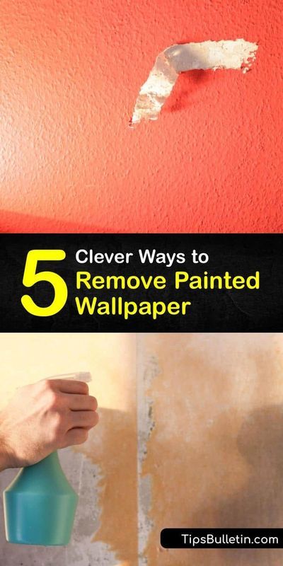 Peel off painted wallpaper with DIY stripper methods. Wallpaper removal is effortless using common materials like a spray bottle, scoring tool, and a scraper. Ingredients like hot water and… More Remove Wallpaper Glue, Taking Off Wallpaper, Woodchip Wallpaper, Anaglypta Wallpaper, Painting Over Wallpaper, Removing Old Wallpaper, Remove Wall, Diy Household Cleaners, Wallpaper Removal