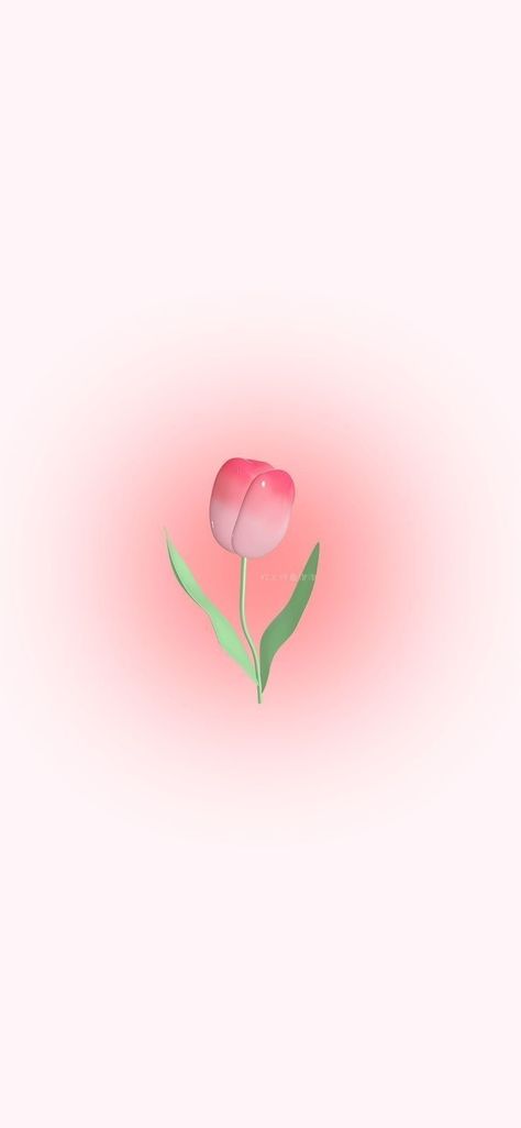 Wallpaper Tulips Iphone, Tulips Pink Drawing, Pink Tulip Background, 3d Wallpaper Iphone Tulips, 3d Tulips Wallpaper, Flower Astethic Wallpaper, Tulips Lockscreen Aesthetic, Tulip Background Wallpapers, Pink Tulips Wallpaper Iphone