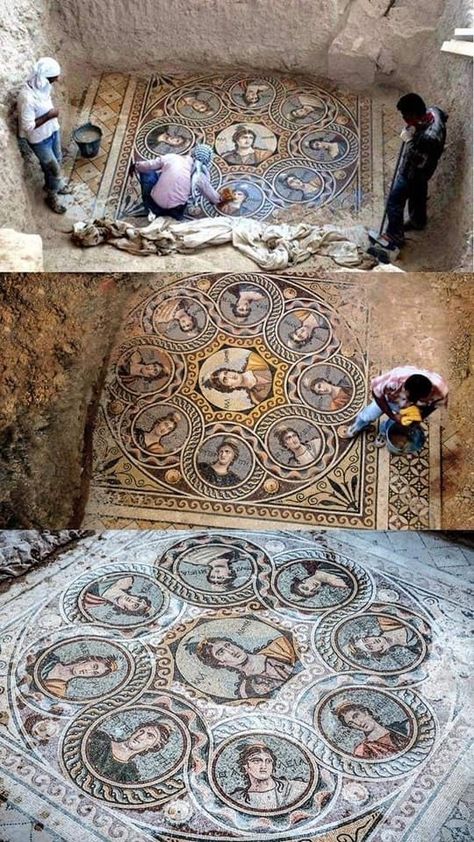 The Nine Muses, Ancient Mosaic, Greek Designs, Ancient Greek City, Greek City, Nine Muses, Empire Romain, Roman Mosaic, Archaeological Discoveries