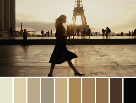 Cinema Color Palette, Cinematic Color Palette, Anna 2019, Pallete Color, Color Thesaurus, Cinematic Portrait, Color In Film, Color Wheel Art, Movie Color Palette