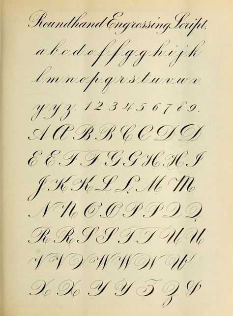 Celeste Pineda Baca's Copperplate Pin features tattoo fonts, script alphabets, and calligraphy. #FontFrenzy #AlphabetArt #TypographyTrends #CreativeCharacters #LetterLove Cursive Handwriting Fonts, Cursive Fonts Alphabet, Calligraphy Writing Styles, Calligraphy Letters Alphabet, Calligraphy Worksheet, Script Alphabet, Beautiful Writing, Cursive Alphabet, Copperplate Calligraphy