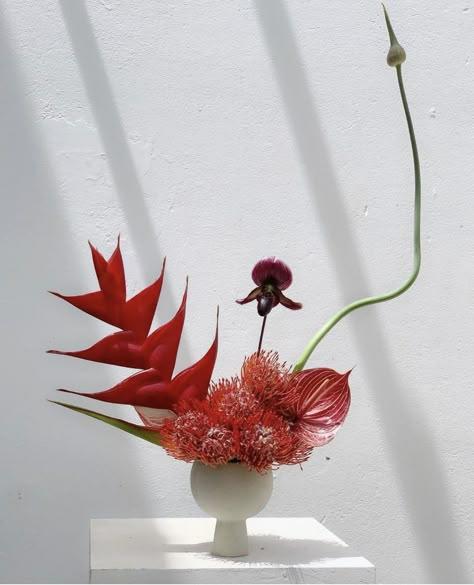 Contemporary Flower Arrangements, Sogetsu Ikebana, Ikebana Flower, Ikebana Flower Arrangement, Ikebana Arrangements, Boquette Flowers, Flower Vase Arrangements, Fresh Flowers Arrangements, My Funny Valentine