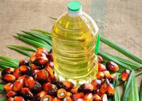 palmoil Palm Oil Benefits, Red Palm, Soy Oil, Improve Energy Levels, Mustard Oil, Edible Oil, Beta Carotene, Oil Benefits, Soybean Oil