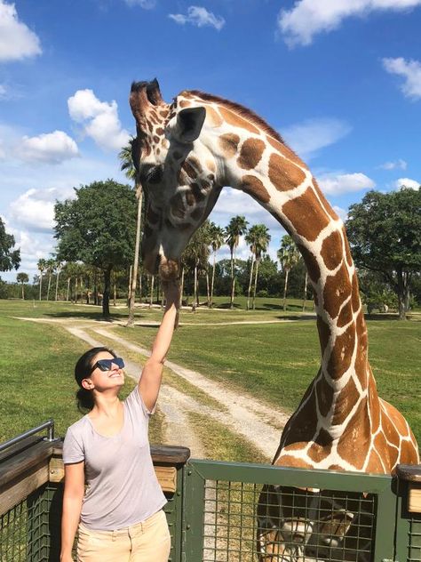 Why You Should Visit Busch Gardens Tampa Bay | Tampa/St. Petersburg | Travel Channel Busch Gardens Tampa Bay, Bright Angel Trail, Busch Gardens Tampa, Arizona Vacation, Busch Gardens, Whitewater Rafting, Safari Tour, Travel Channel, Grand Canyon National Park