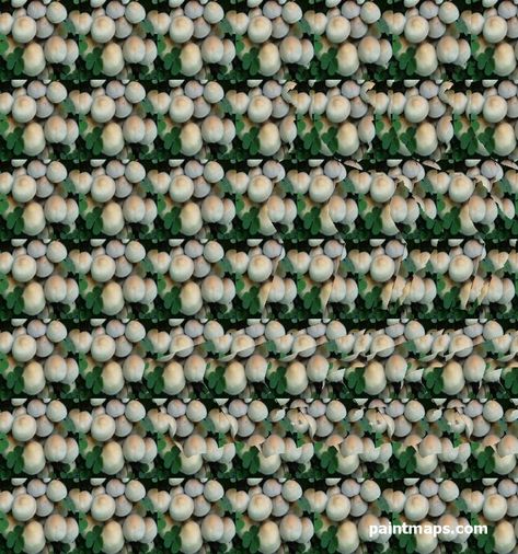 3D Stereogram of the OMAN (Magic Eye) 3d Hidden Pictures, Hidden 3d Images, Magic Pictures, 3d Stereograms, Magic Eye Pictures, Illusion Pictures, Eye Images, Illusion 3d, Hidden Images