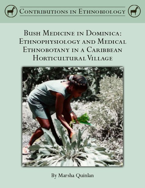 Bush Medicine in Dominica: Ethnophysiology and Medical Ethnobotany in a Caribbean Horticultural Village, by Marsha B. Quinlan and Katherine E. Flores | Society of Ethnobiology Bush Medicine, Head Cold, Herbal Plants, Boston University, Chapter 16, Traditional Medicine, Herbal Medicine, Ecology, Natural Health