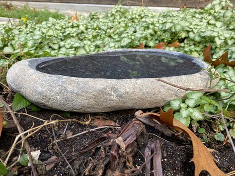 Natural River Stone Bird Baths Bird Bath Ideas, Art Aquarium, Steve Green, Stone Bird Baths, Real Estate Closing Gifts, Bloom Where Youre Planted, Backyard Water Feature, Outdoor Stone, Bird Baths