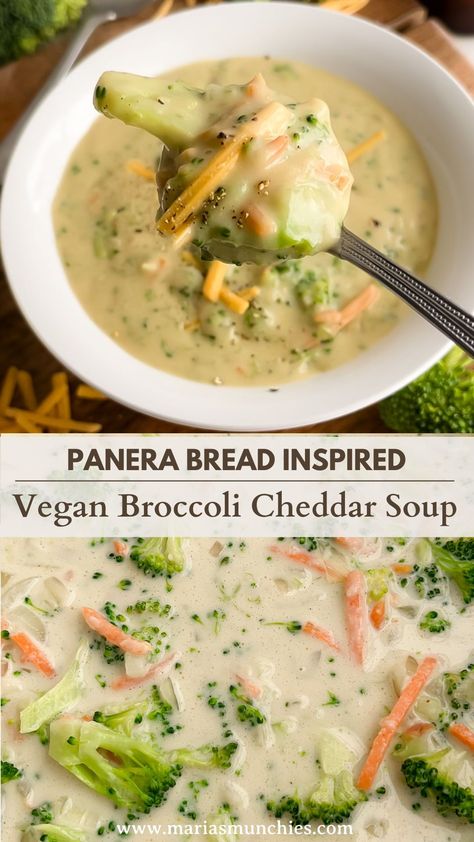 If you enjoy the soups at Panera Bread, then you’ll love this Broccoli Cheddar Soup recipe! It’s easy to make, delicious, and sure to impress your non-vegan friends.It doesn’t get more comforting than a big bowl of vegan broccoli cheddar soup. Panera Bread Soup, Vegan Broccoli Cheese Soup, Vegan Broccoli Cheddar Soup, Broccoli Cheese Soup Recipe, Broccoli Cheddar Soup Recipe, Cheddar Soup Recipe, Cheese Soup Recipe, Vegan Tomato Soup, Vegan Cheddar Cheese