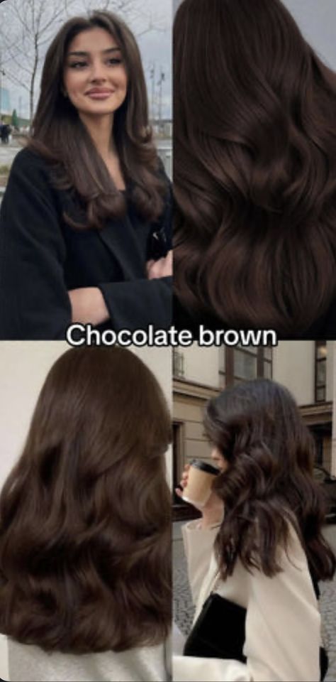 Dark Chestnut Hair, Kids Hair Styles, Bleach Hair Color, Hair Color Names, Men Hair Styles, Rich Chocolate Brown Hair, Mocha Brown Hair, Medium Brunette Hair, Brown Hair Color Chart