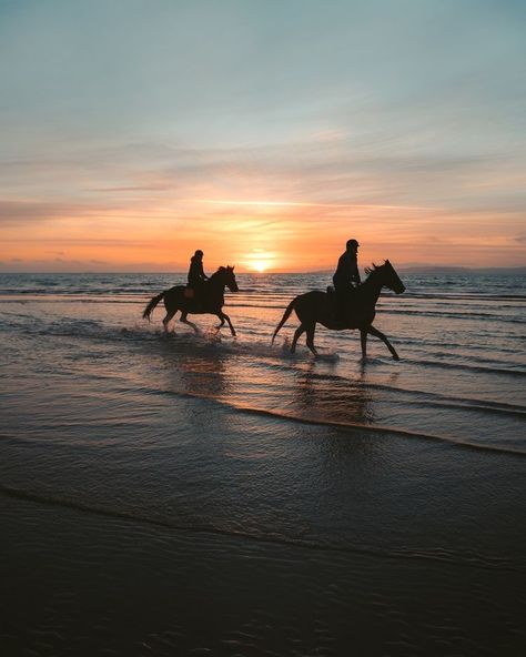 Horseback Riding Aesthetic, Horse Couple, Horse Riding Aesthetic, Foto Cowgirl, Beach Rides, Cute Horse Pictures, Equestrian Aesthetic, Beach At Sunset, Horse Wallpaper