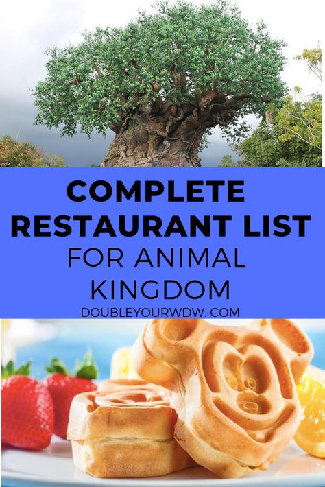 Animal Kingdom Restaurants, Animal Kingdom Food, Animal Kingdom Rides, Disney Road Trip, Dining At Disney World, Disney World Animal Kingdom, Disney World Dining, Dining Plan, Disney World Restaurants