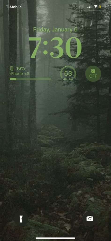 Sage Green Forest Wallpaper, Green Lockscreen And Homescreen, Green Iphone Lockscreen, Forest Lockscreen, Sage Green Lockscreen, Green Aesthetic Lockscreen, Green Lockscreen, Sage Forest, Sage Wallpaper