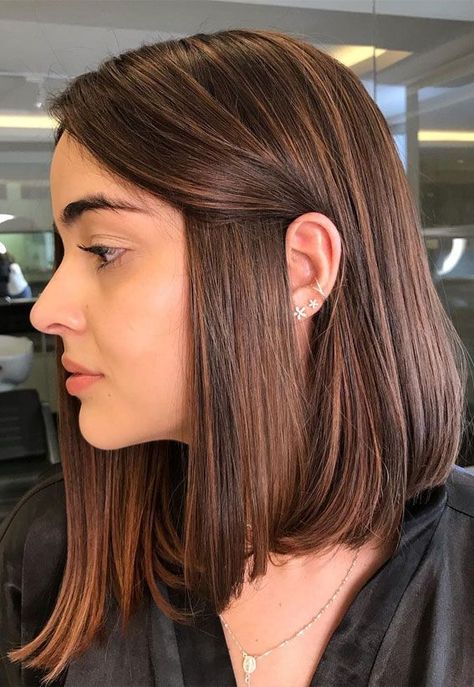 Brunette Bob Color Ideas, Ombre Hair Colour For Short Hair, Brunette With Caramel Highlights Honey Short Hair, Honey Coloured Hair Caramel Highlights, Caramel Ombre Straight Hair, Cute Hair Colors For Short Hair Highlights, Bob With Copper Highlights, Short Hair Honey Brown, Long Bob Color Ideas