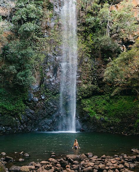 Uluwehi falls, or Secret falls, on Kauai is a well known secret on the island. With a quick kayak up Wailua river with Outfitters Kauai Tours, this waterfall is not to be missed! Kauai Hawaii Honeymoon, Kauai Waterfalls, Kauai Hiking, Hawaii Waterfalls, Kauai Travel, Hawaii Holiday, Kauai Vacation, Hawaii Things To Do, Hawaii Pictures