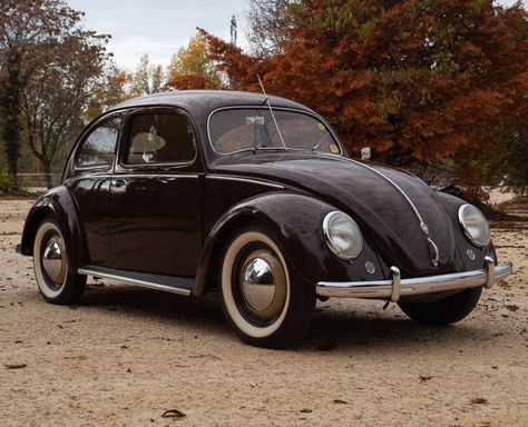 Volkswagen Coccinelle 1100 Export (Brezel) (1952) en vente pour 57 900 € Volkswagen