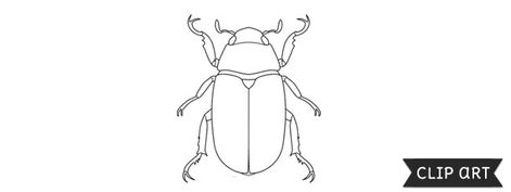 Scarab Beetle Template – Clipart Beetle Template, Beetle Line Art, Black And White Beetle, White Beetle, Bee Template, Scarab Beetle, Black And White Lines, Art File, Line Drawing