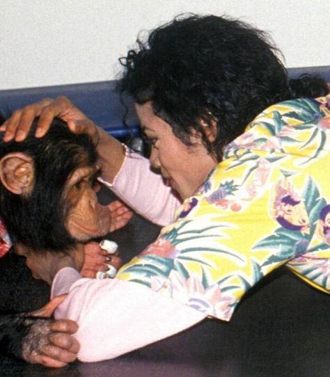 ♥ Michael Jackson ♥ & Bubbles Michael Jackson And Bubbles, Michael Jackson Bad Era, Michael Jackson Funny, Michael Jackson Wallpaper, Michael Jackson Rare, Photos Of Michael Jackson, Jackson Bad, Michael Love, Michael Jackson Smile