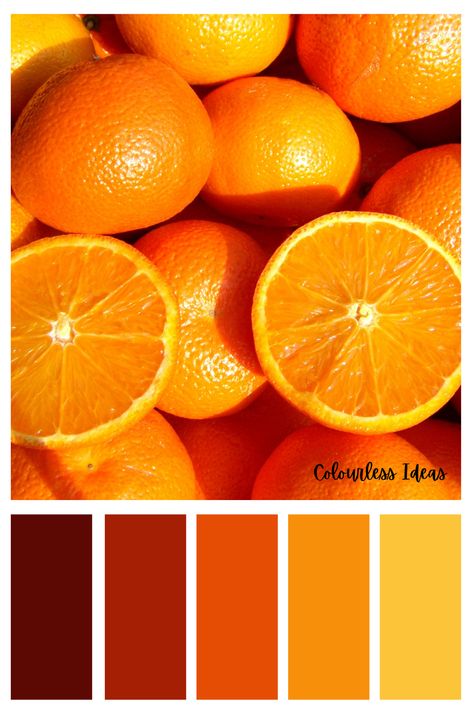 Follow for more colour palettes Wardrobe Colour, Sprinklers, Story Board, Orange Fruit, Fruit Punch, Character Inspo, Chocolate Color, Fruit And Veg, Colour Palettes