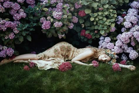 Bella Kotak @bellakotak · 1 Dec 2016  Winter is here and I'm dreaming of long, warm summer days lounging in the garden surrounded by flowers 🌷 Grass Wall With Flowers, Wall With Flowers, Bella Kotak, Surrounded By Flowers, Model Sketch, Outdoor Shoot, Fantasy Photography, Contemporary Photographers, Fantasy Paintings