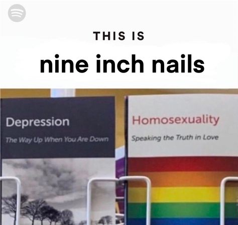 Nin Aesthetic, Nine Inch Nails Meme, Nine Inch Nails Wallpapers, Nine Inch Nails Aesthetic, Nine Inch Nails Tattoo, Music Memes Funny, Goth Memes, Baba Jaga, Trent Reznor