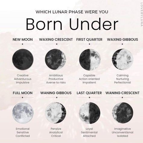 Moon Compatibility, Different Phases Of The Moon, Astrology Poster, Astrology Meaning, Magia Das Ervas, Birth Chart Astrology, Learn Astrology, Witchcraft Spell Books, Witch Spell Book