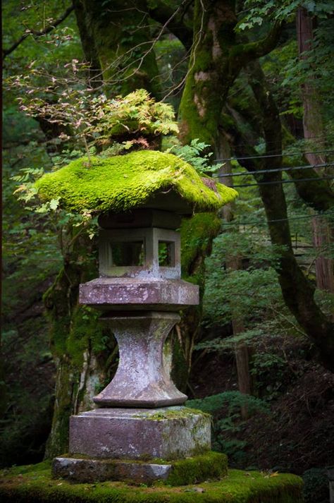 . Backyard Lanterns, Japanese Garden Lanterns, Japanese Stone Lanterns, Garden Japanese, Japanese Style Garden, Japanese Zen Garden, Stone Lantern, Japan Garden, Japanese Lanterns