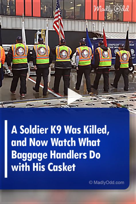 ▷▷ The Delta Honor Guard shows undeniable respect to the coffins of a fallen soldier and his K9. #respect #military #k9 #dogs #pets #soldier via @madlyoddcom dance choreography videos bollywood, dance choreography videos hip hop, dance choreography poses, da? Soldier Quotes, Dog Soldiers, K9 Dogs, Honor Guard, Fallen Soldier, Inspirational Songs, Amazing Songs, Fallen Heroes, A Soldier