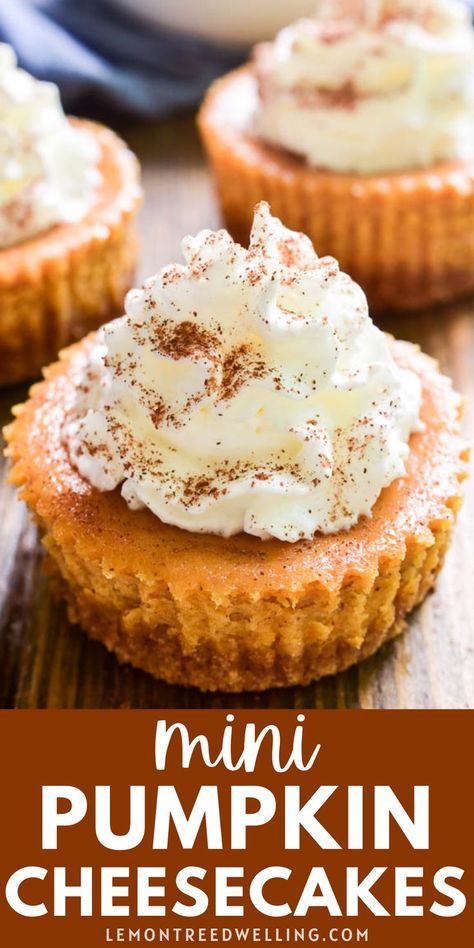 Cheesecake Whipped Cream, Pumpkin Cheesecakes, Recipes Cheesecake, Mini Pumpkin Cheesecake, Biscuits Graham, Dessert Parfait, Pumpkin Cheesecake Recipes, Cheesecake Mini, Cracker Crust